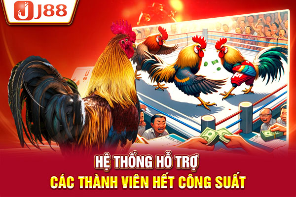 Hệ thống hỗ trợ các thành viên hết công suất Hệ thống hỗ trợ các thành viên hết công suất